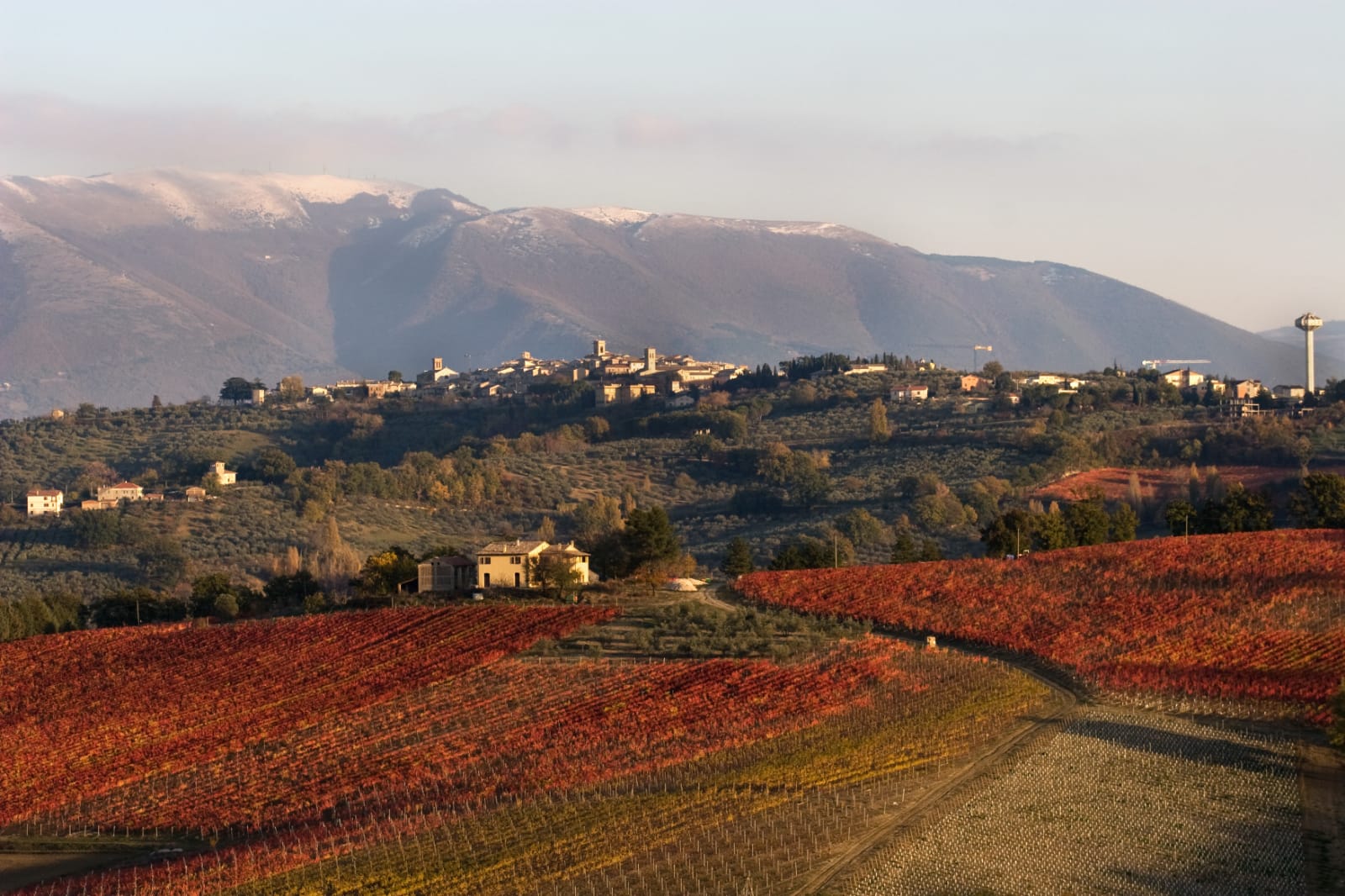 WhatsApp Image 2022-06-11 at 2.29.18 PM (1)