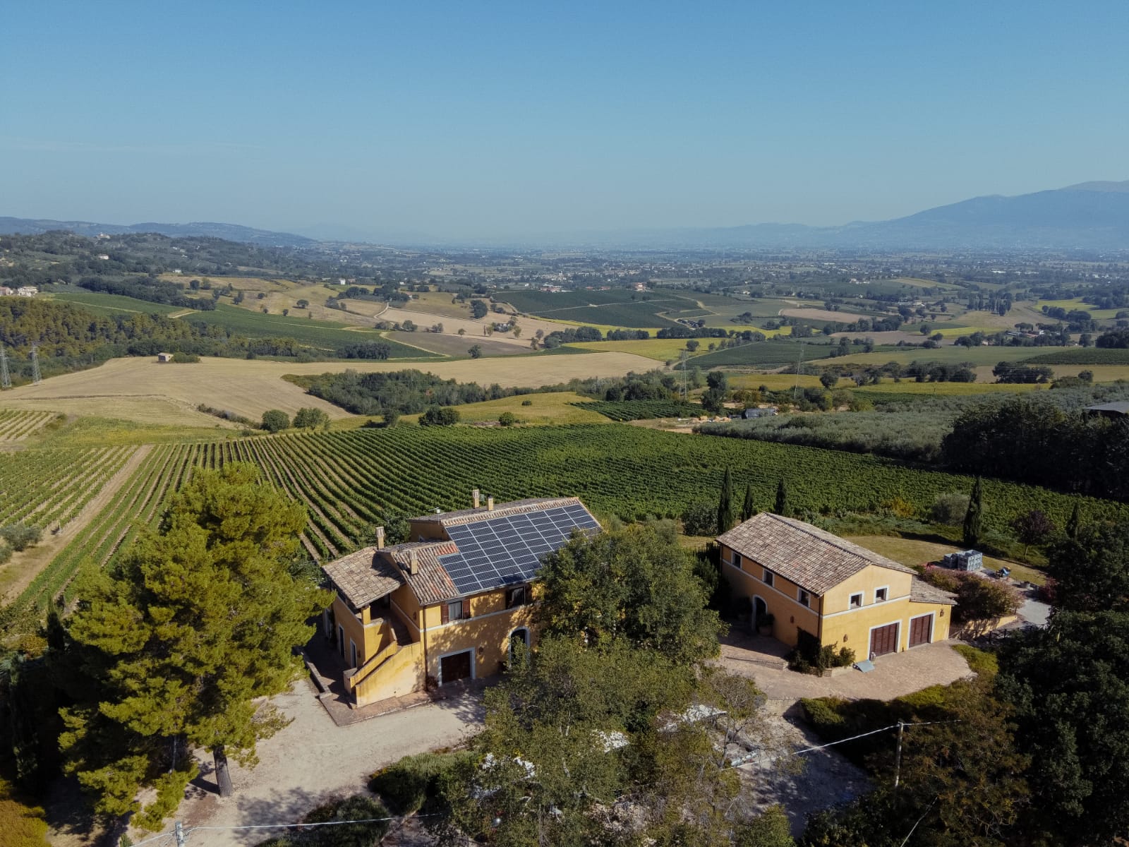 WhatsApp Image 2022-06-11 at 2.29.18 PM