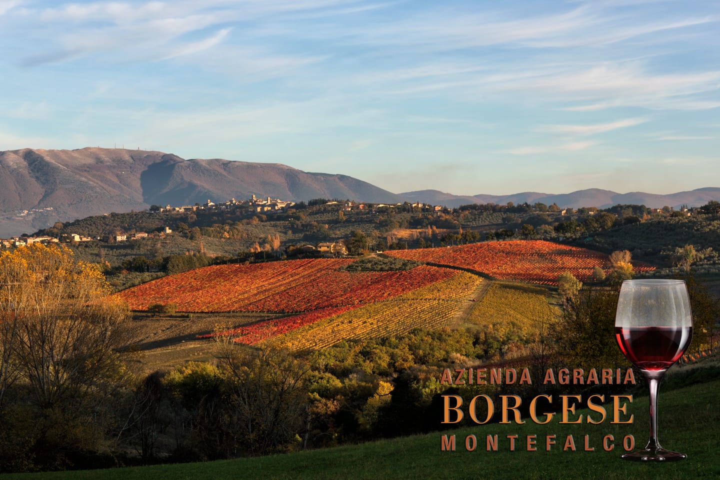 WhatsApp Image 2022-06-11 at 2.29.19 PM (1)