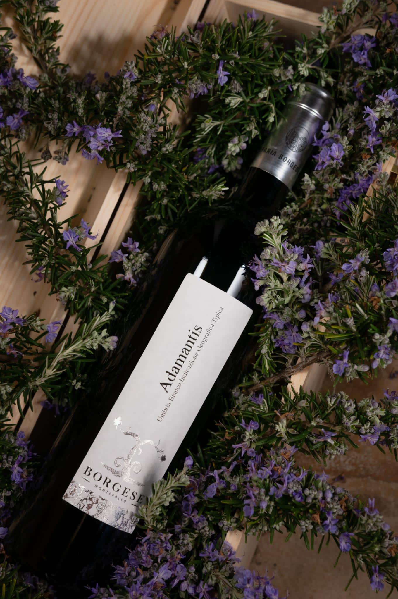 WhatsApp Image 2023-05-04 at 14.23.22 (3)