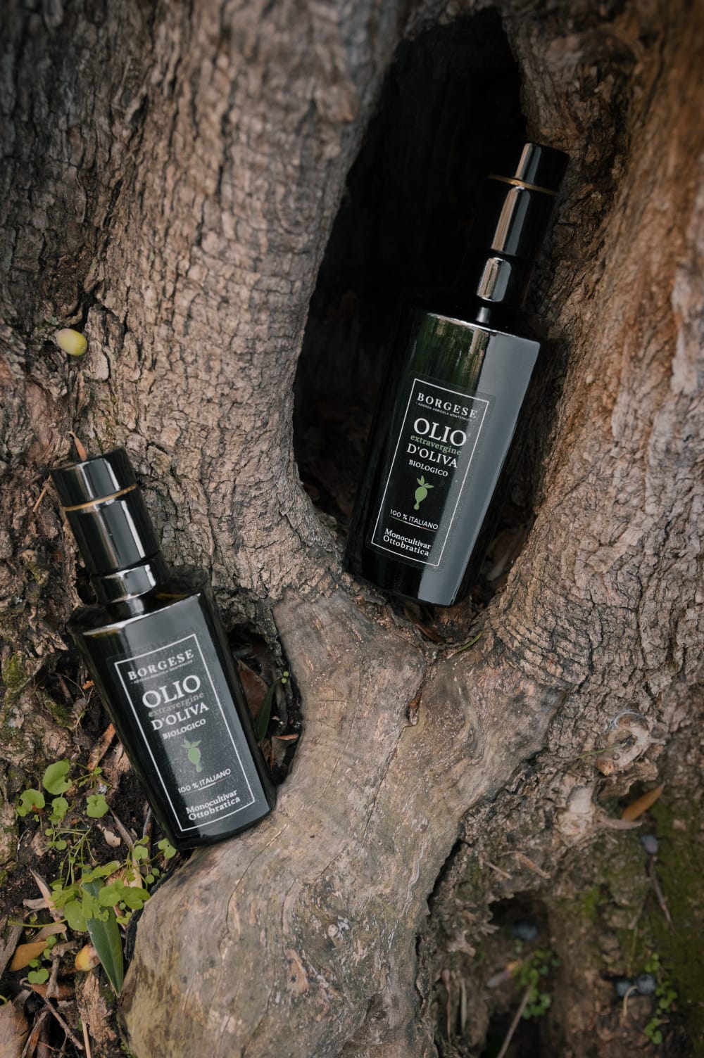 WhatsApp Image 2023-05-04 at 14.23.22