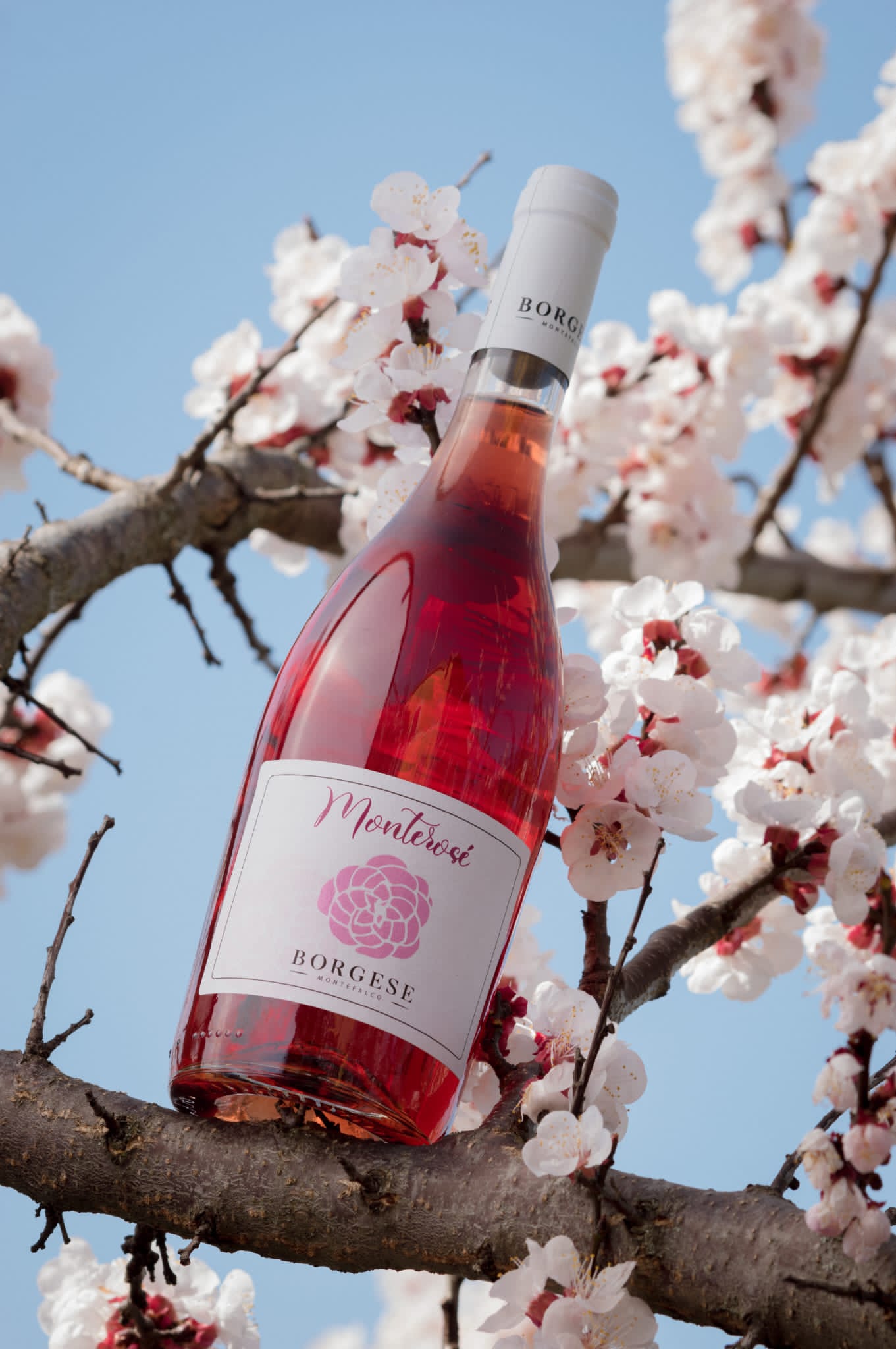 WhatsApp Image 2023-05-04 at 14.23.23